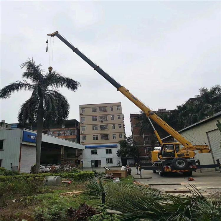 泰兴汽车吊出租多少钱？全面解析与市场行情